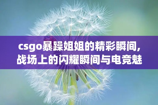 csgo暴躁姐姐的精彩瞬间,战场上的闪耀瞬间与电竞魅力