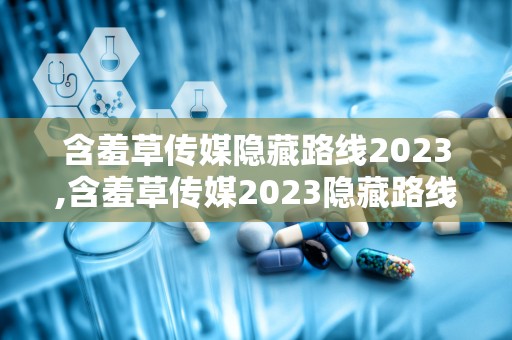 含羞草传媒隐藏路线2023,含羞草传媒2023隐藏路线揭秘