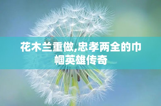 花木兰重做,忠孝两全的巾帼英雄传奇