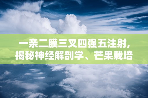 一亲二膜三叉四强五注射,揭秘神经解剖学、芒果栽培与医学领域的奥秘