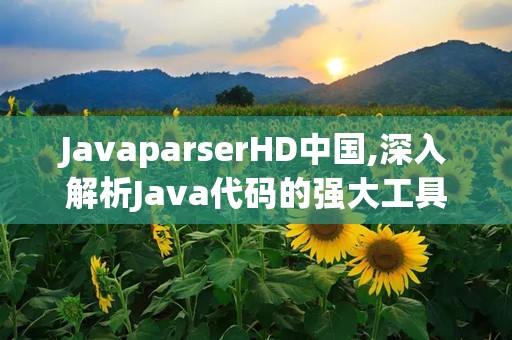 JavaparserHD中国,深入解析Java代码的强大工具