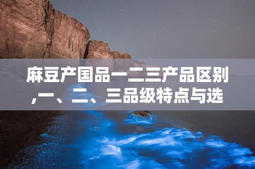 麻豆产国品一二三产品区别,一、二、三品级特点与选购指南