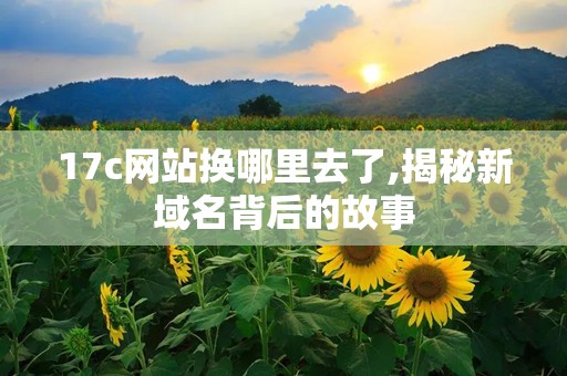 17c网站换哪里去了,揭秘新域名背后的故事