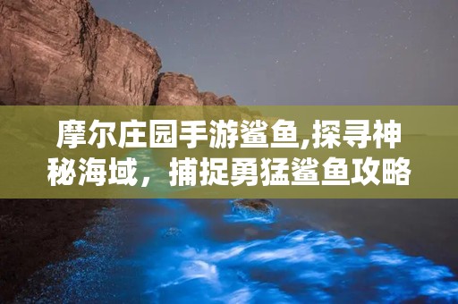 摩尔庄园手游鲨鱼,探寻神秘海域，捕捉勇猛鲨鱼攻略全解析