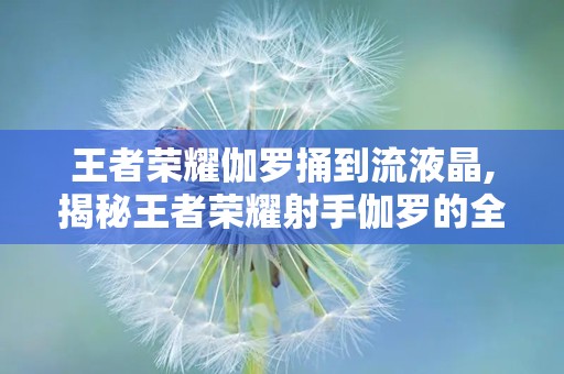 王者荣耀伽罗捅到流液晶,揭秘王者荣耀射手伽罗的全新玩法与攻略