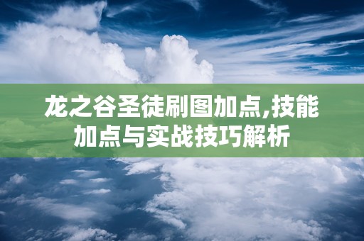 龙之谷圣徒刷图加点,技能加点与实战技巧解析