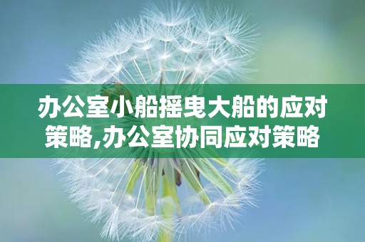 办公室小船摇曳大船的应对策略,办公室协同应对策略解析