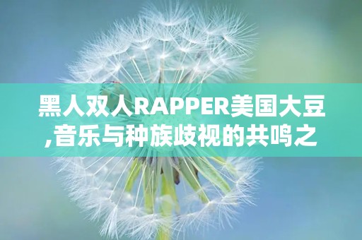 黑人双人RAPPER美国大豆,音乐与种族歧视的共鸣之声