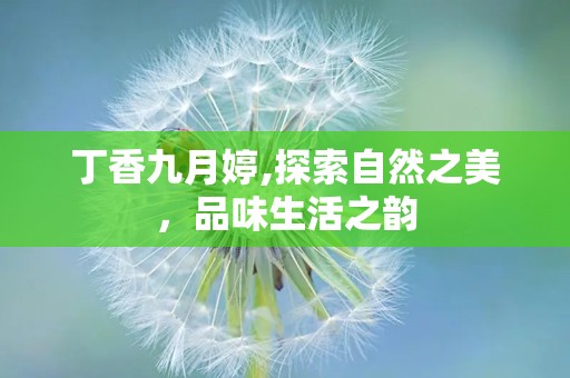 丁香九月婷,探索自然之美，品味生活之韵