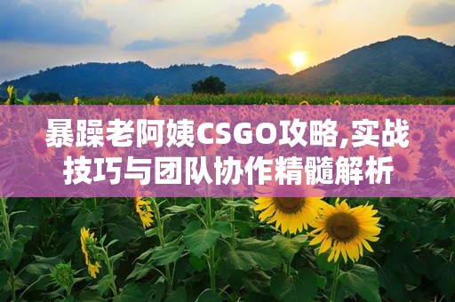 暴躁老阿姨CSGO攻略,实战技巧与团队协作精髓解析