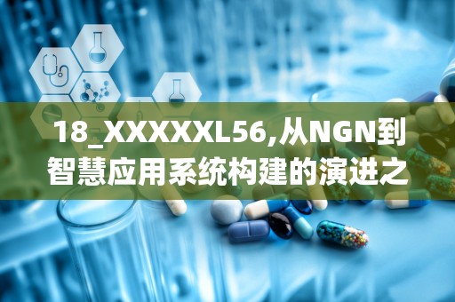 18_XXXXXL56,从NGN到智慧应用系统构建的演进之路