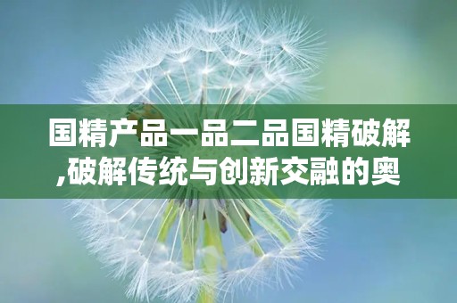 国精产品一品二品国精破解,破解传统与创新交融的奥秘