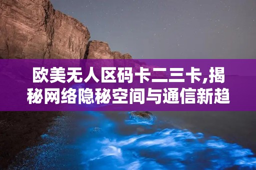 欧美无人区码卡二三卡,揭秘网络隐秘空间与通信新趋势