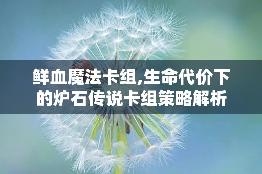 鲜血魔法卡组,生命代价下的炉石传说卡组策略解析