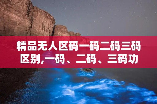 精品无人区码一码二码三码区别,一码、二码、三码功能解析与应用对比