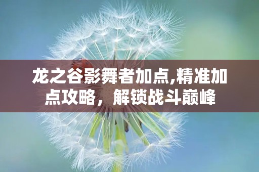 龙之谷影舞者加点,精准加点攻略，解锁战斗巅峰