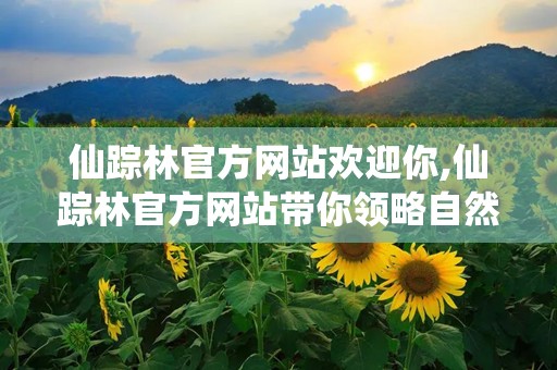 仙踪林官方网站欢迎你,仙踪林官方网站带你领略自然与人文的和谐共生