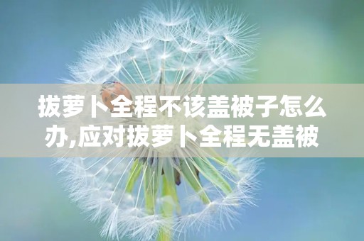 拔萝卜全程不该盖被子怎么办,应对拔萝卜全程无盖被挑战的实用攻略