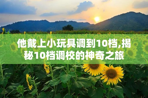 他戴上小玩具调到10档,揭秘10档调校的神奇之旅