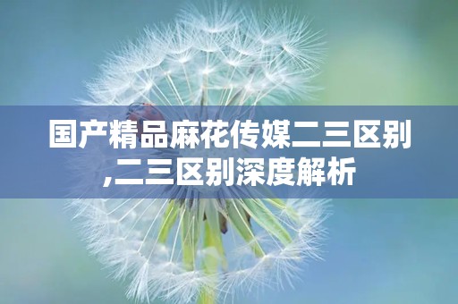 国产精品麻花传媒二三区别,二三区别深度解析