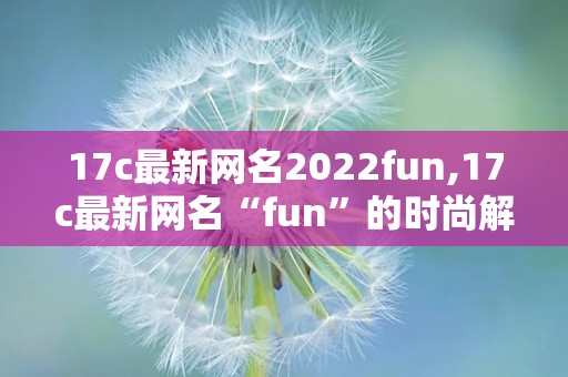 17c最新网名2022fun,17c最新网名“fun”的时尚解读