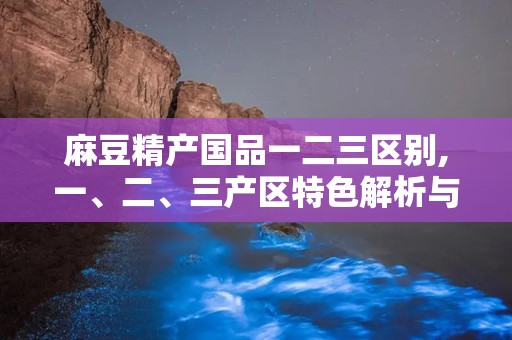 麻豆精产国品一二三区别,一、二、三产区特色解析与选购指南