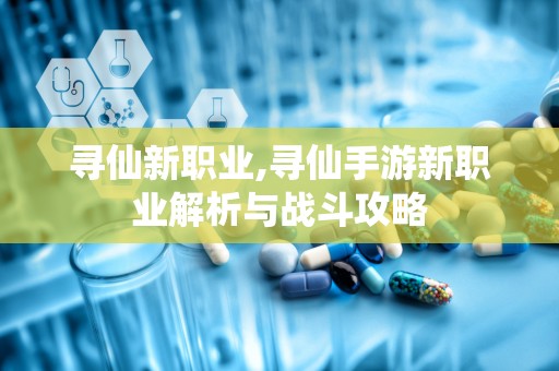 寻仙新职业,寻仙手游新职业解析与战斗攻略