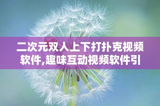 二次元双人上下打扑克视频软件,趣味互动视频软件引关注