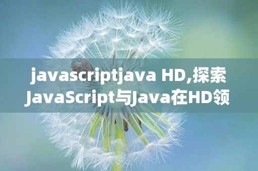 javascriptjava HD,探索JavaScript与Java在HD领域的融合与创新