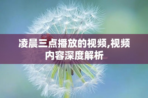 凌晨三点播放的视频,视频内容深度解析