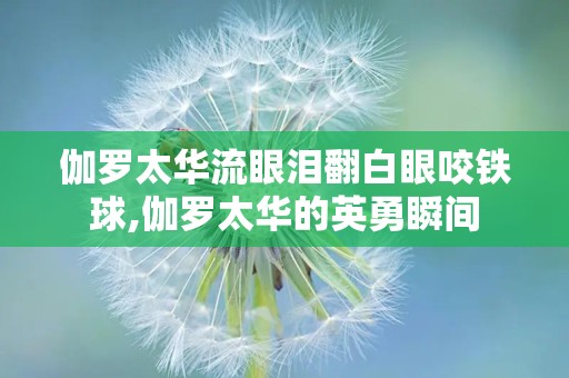 伽罗太华流眼泪翻白眼咬铁球,伽罗太华的英勇瞬间