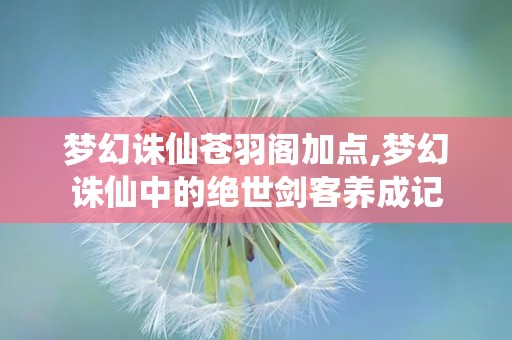 梦幻诛仙苍羽阁加点,梦幻诛仙中的绝世剑客养成记