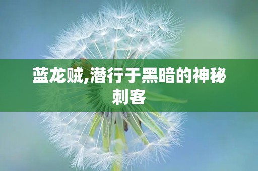 蓝龙贼,潜行于黑暗的神秘刺客