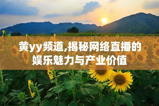 黄yy频道,揭秘网络直播的娱乐魅力与产业价值