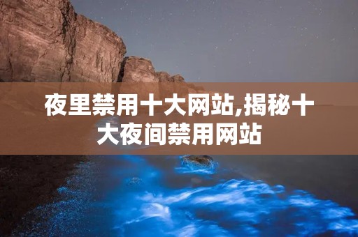 夜里禁用十大网站,揭秘十大夜间禁用网站