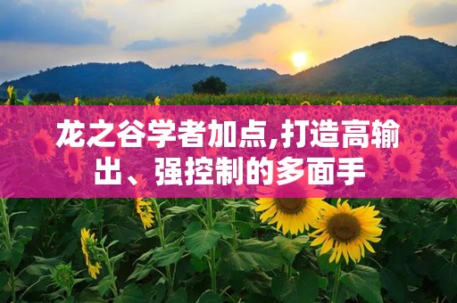 龙之谷学者加点,打造高输出、强控制的多面手