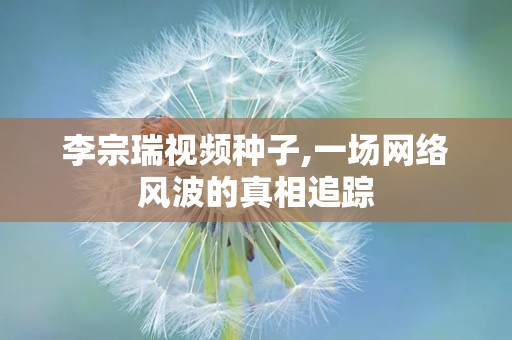 李宗瑞视频种子,一场网络风波的真相追踪