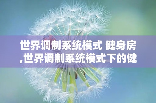 世界调制系统模式 健身房,世界调制系统模式下的健身革命