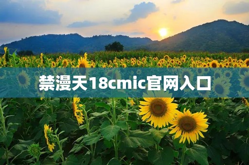 禁漫天18cmic官网入口