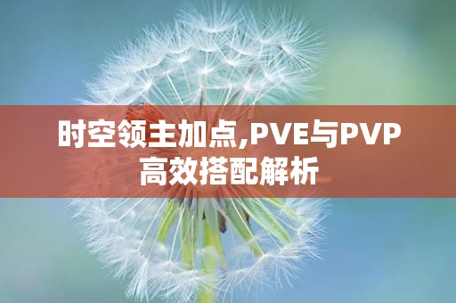 时空领主加点,PVE与PVP高效搭配解析