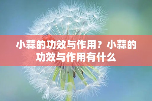 小蒜的功效与作用？小蒜的功效与作用有什么