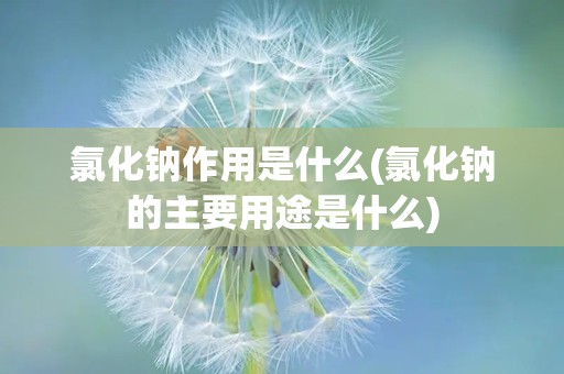 氯化钠作用是什么(氯化钠的主要用途是什么)