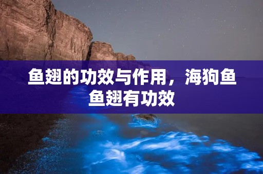 鱼翅的功效与作用，海狗鱼鱼翅有功效