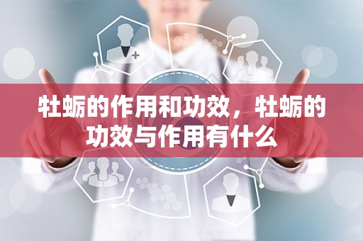 牡蛎的作用和功效，牡蛎的功效与作用有什么