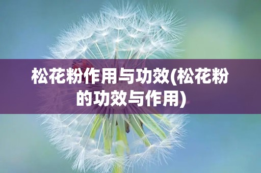 松花粉作用与功效(松花粉的功效与作用)