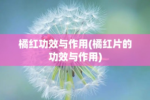 橘红功效与作用(橘红片的功效与作用)