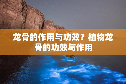 龙骨的作用与功效？植物龙骨的功效与作用