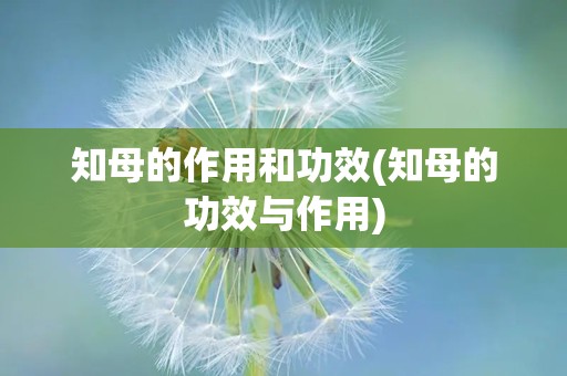 知母的作用和功效(知母的功效与作用)