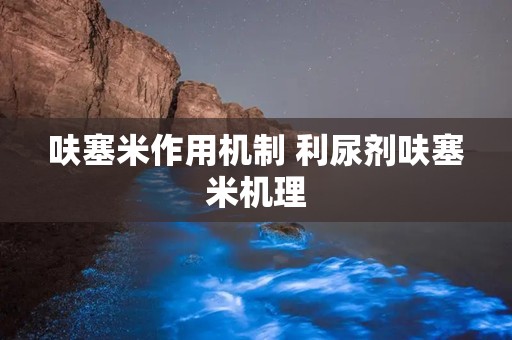 呋塞米作用机制 利尿剂呋塞米机理