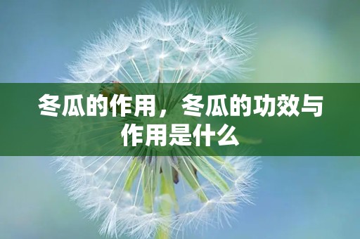 冬瓜的作用，冬瓜的功效与作用是什么